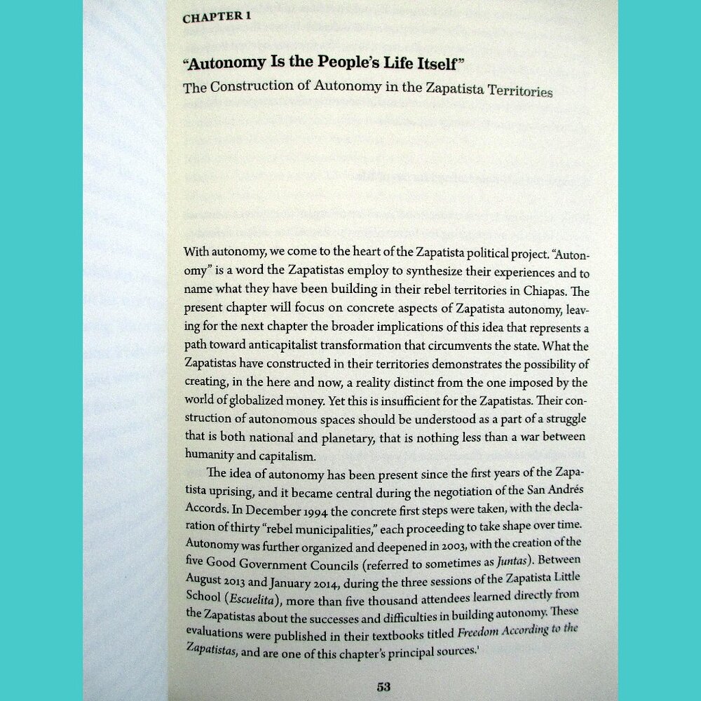 Book -  The Zapatista Experience: Rebellion, Resistance, and Autonomy - Picture 7 of 13